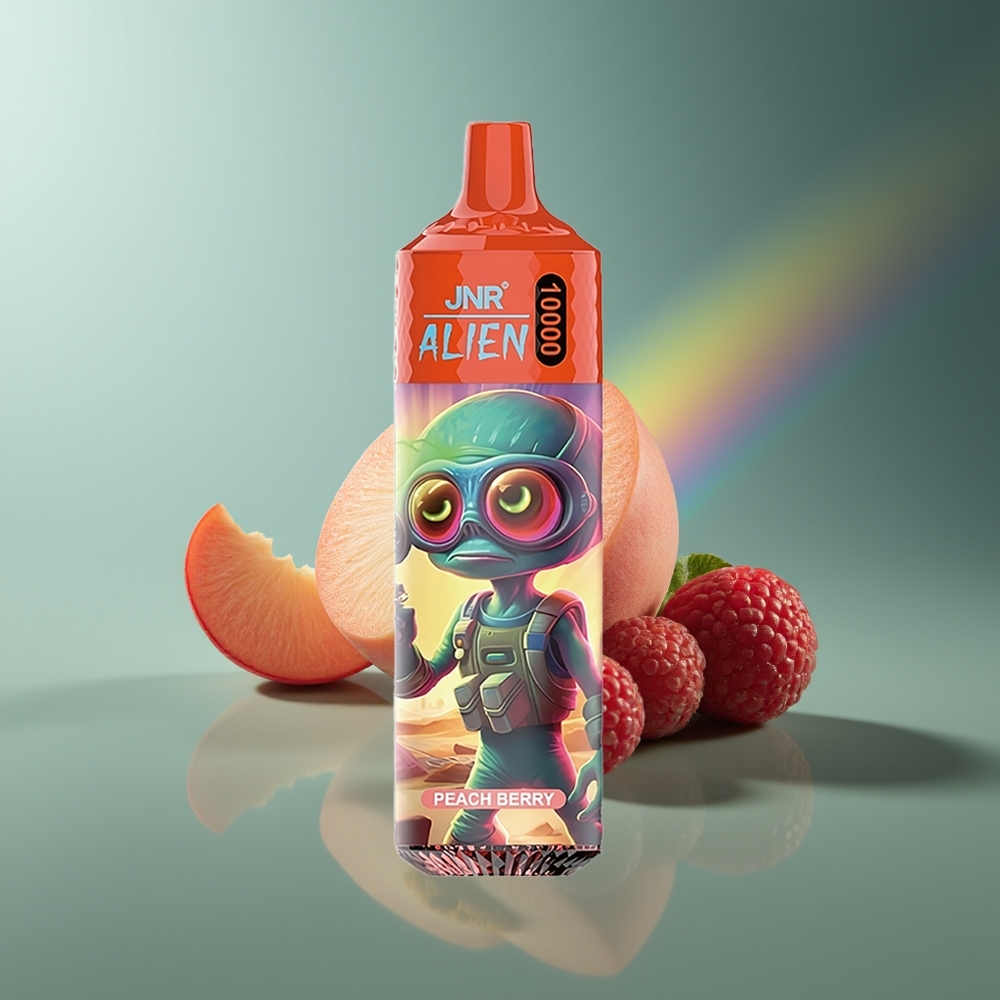 Wholesale Lithuania JNR Alien 10000 Puffs Persikų Uogų 850mAh Type-C