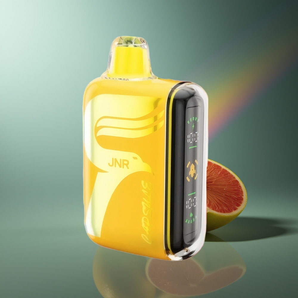 Wholesale Lithuania JNR Capsule 15000 Puffs 20ml Taopinė Smagienė