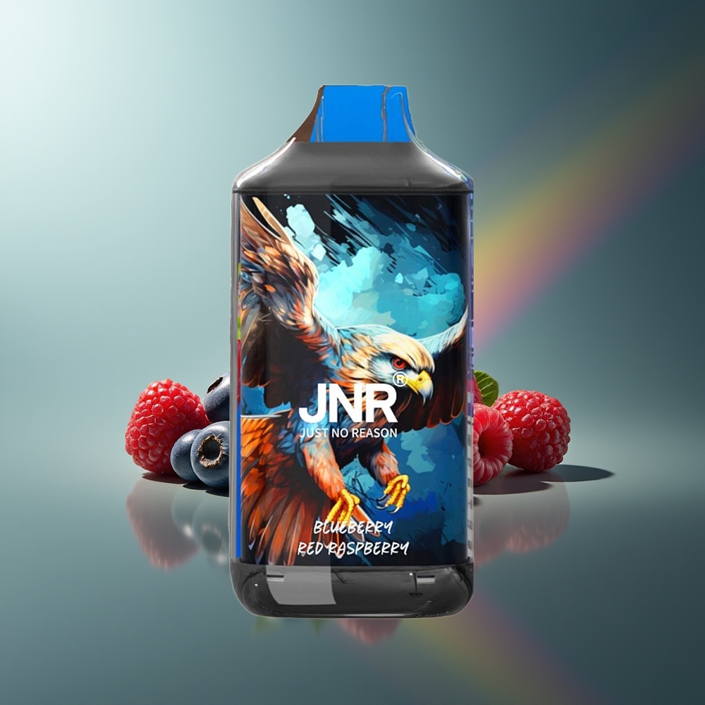Wholesale Lithuania JNR Falcon 16000 Puffs 850 mAh Mėlynųjų Aviečių Raudonųjų Aviečių Vienkartinės Elektroninės Cigaretės