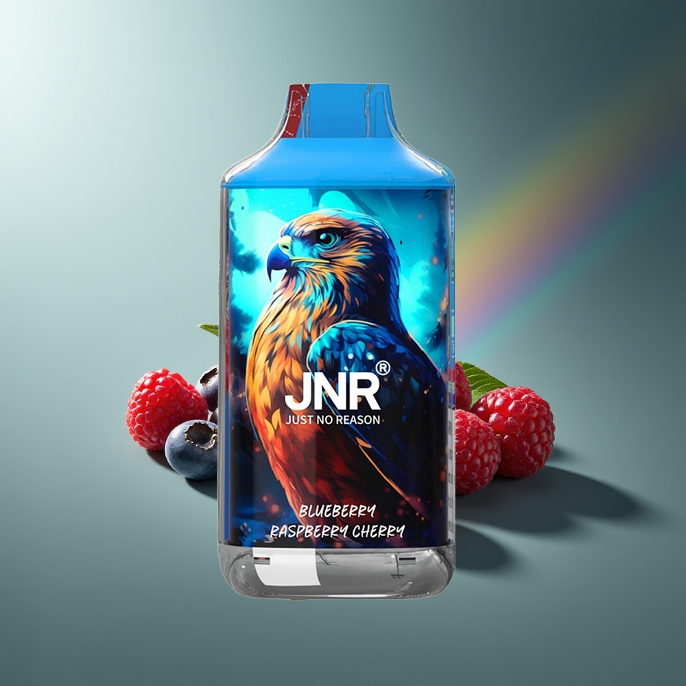 Wholesale Lithuania JNR Falcon 16000 Puffs 850 mAh Mėlynųjų Serbentų Aviečių Vyšnių Vienkartinės Elektroninės Cigaretės