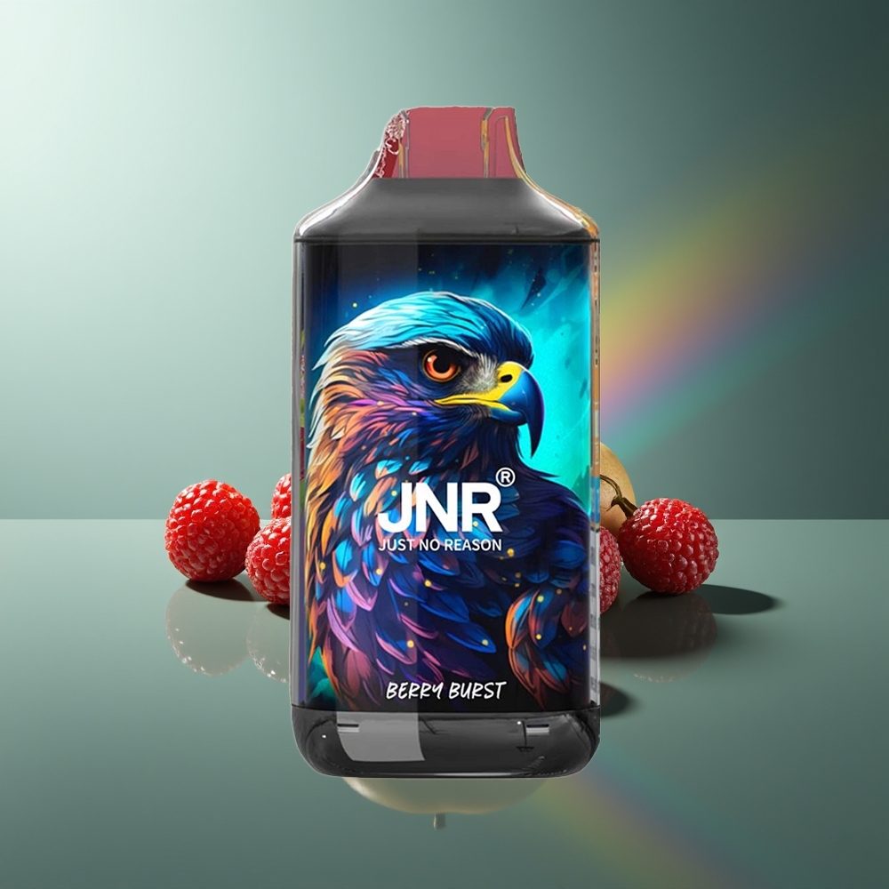 Wholesale Lithuania JNR Falcon 16000 Puffs 850 mAh Uogienės Sprogimas