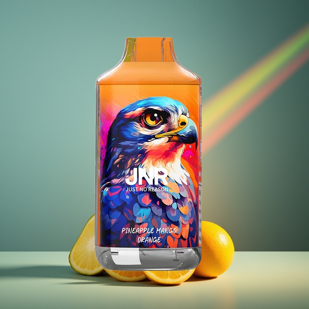 Wholesale Lithuania JNR Falcon 16000 Puffs Ananasas Mango Apelsinas 850 mAh Smart LED Display