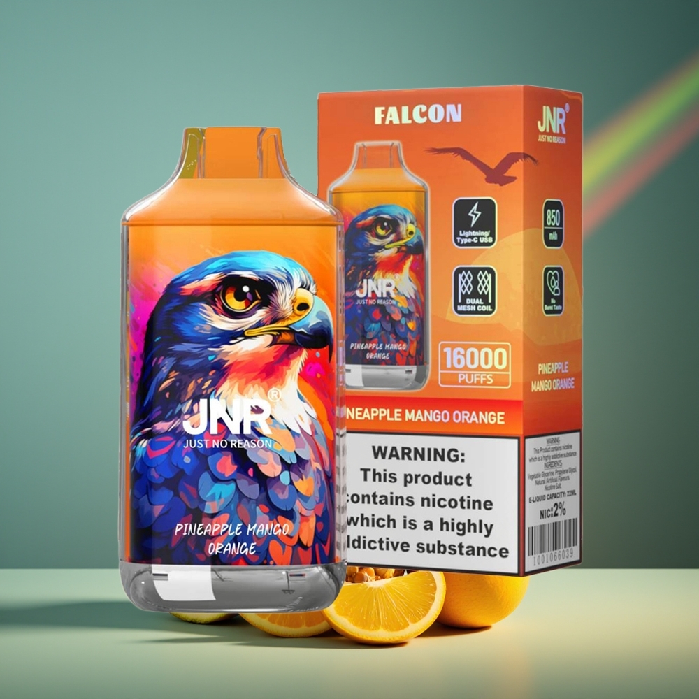 Wholesale Lithuania JNR Falcon 16000 Puffs Ananasas Mango Apelsinas 850 mAh Smart LED Display