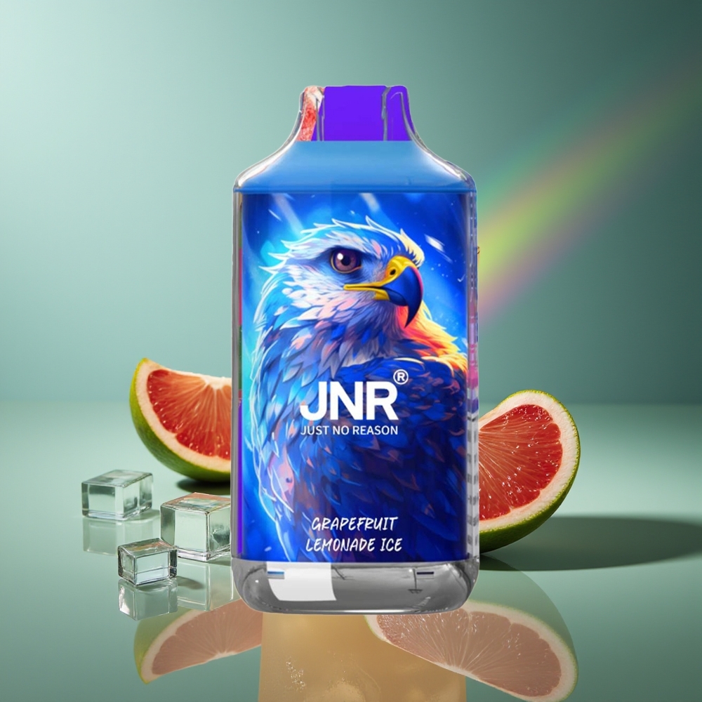 Wholesale Lithuania JNR Falcon 16000 Puffs Greipfrutų Citrinų Limonadas Ledas 850 mAh Smart LED Display