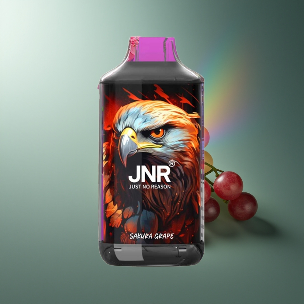 Wholesale Lithuania JNR Falcon 16000 Puffs Sakura Vynuogė Smart LED Display