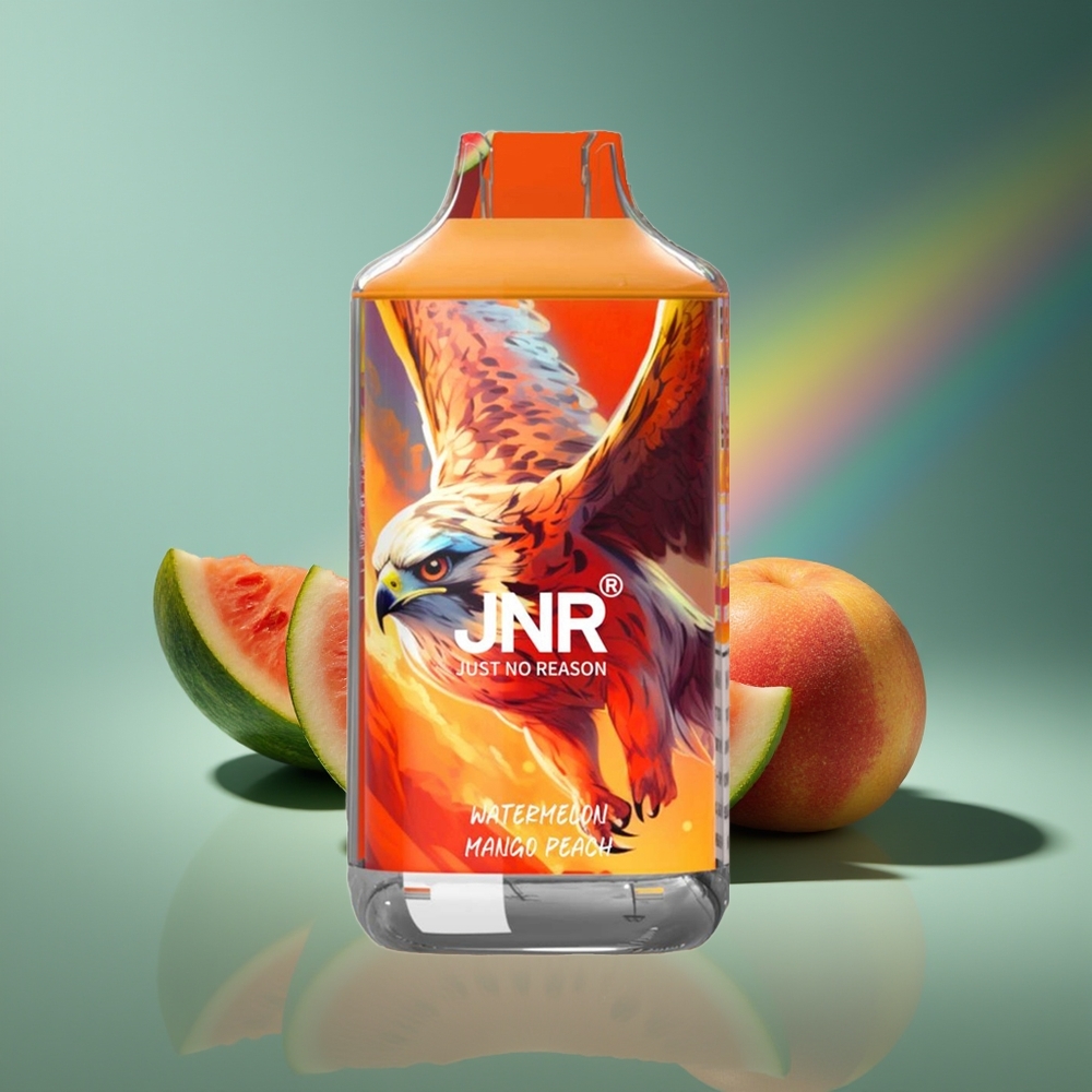 Wholesale Lithuania JNR Falcon 16000 Puffs Vienkartinės Elektroninės Cigaretės Arbūzas Mango Persikas 850 mAh Dual Mesh Coil