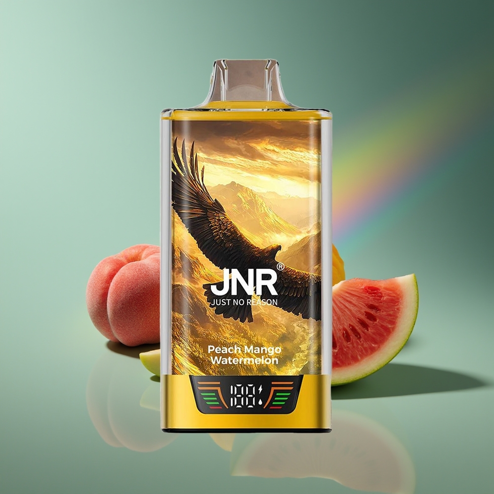Wholesale Lithuania JNR Falcon Pro 28000 Persikų Mango Vandyniai 30ml USB Type-C