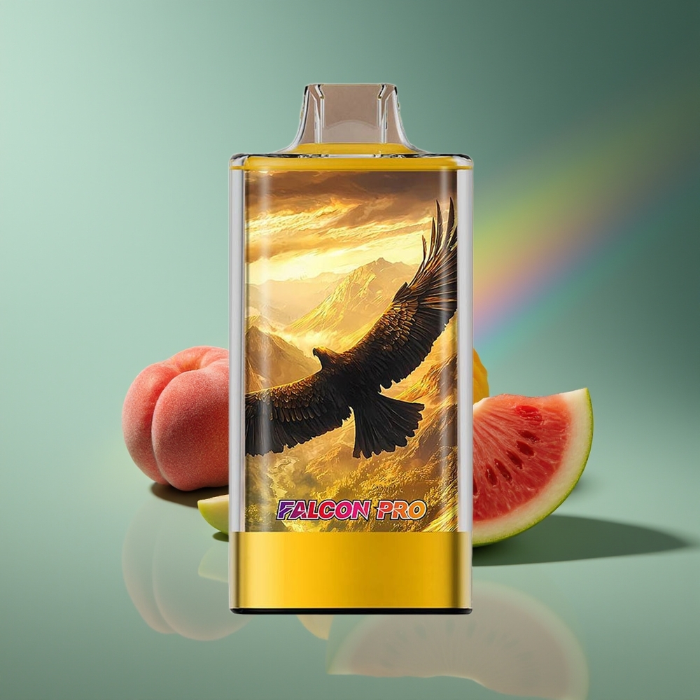 Wholesale Lithuania JNR Falcon Pro 28000 Persikų Mango Vandyniai 30ml USB Type-C