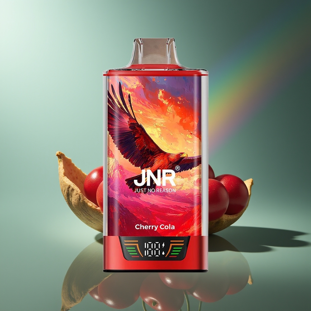 Wholesale Lithuania JNR Falcon Pro 28000 Puffs 30ml Vyšnios Kolos Vienkartinės Elektroninės Cigaretės USB Type-C