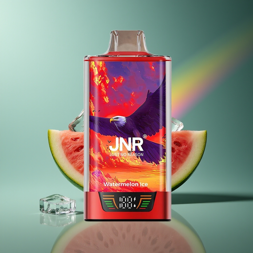 Wholesale Lithuania JNR Falcon Pro 28000 Puffs Arbūzas Ledas 30ml 950mAh