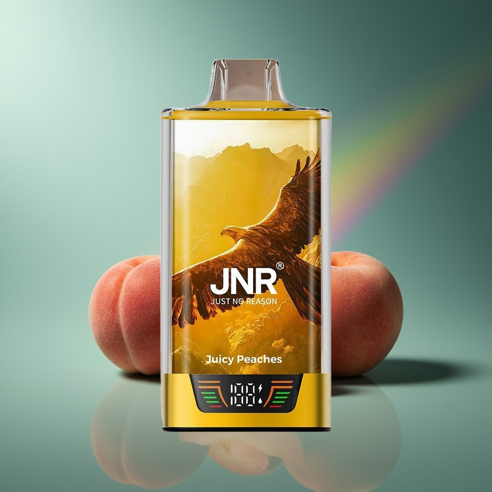 Wholesale Lithuania JNR Falcon Pro 28000 Puffs Sultūsios Persikai 30ml 5% Nikotino