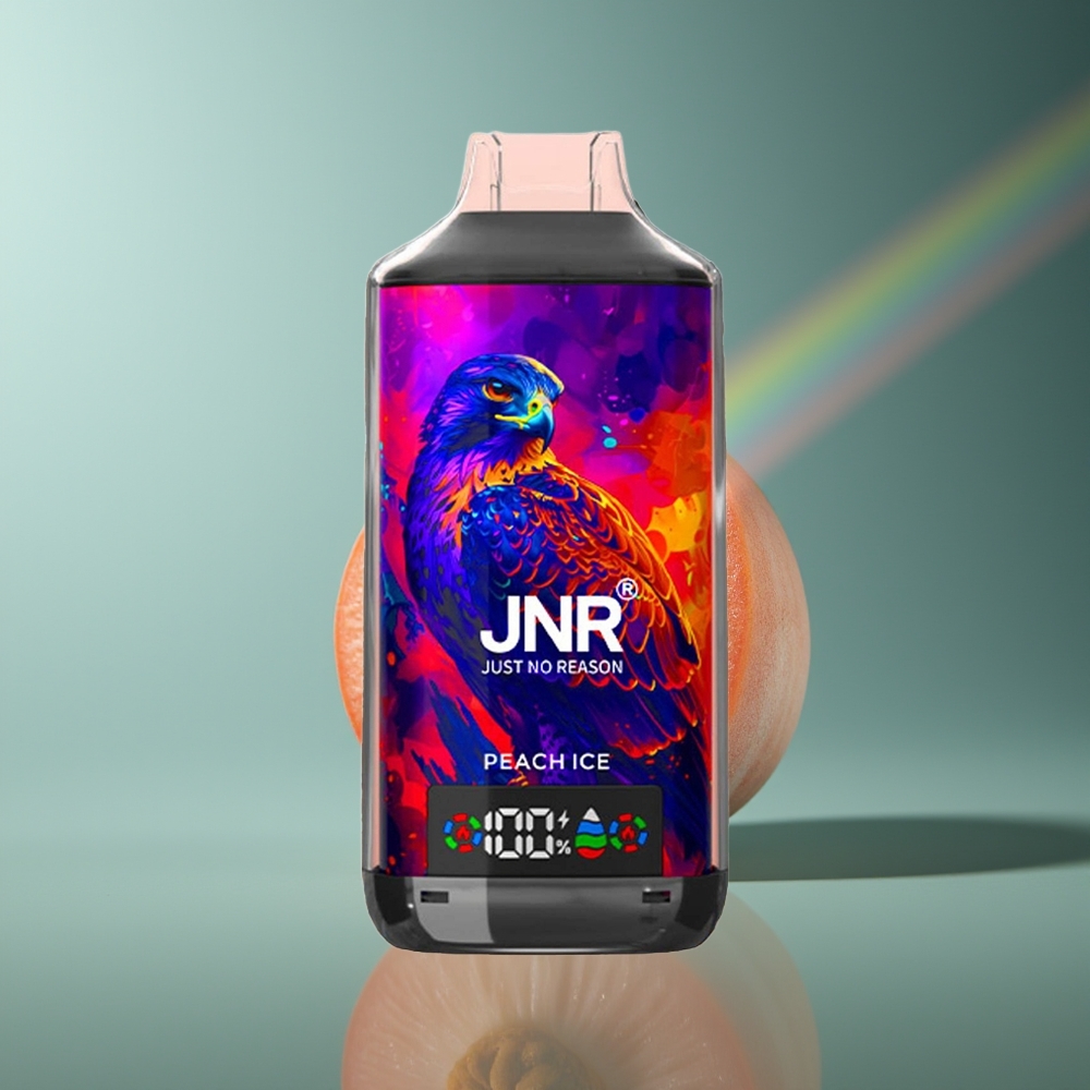 Wholesale Lithuania JNR Falcon X 18000 Puffs 24ml Persikų Ledas Vienkartinės Elektroninės Cigaretės
