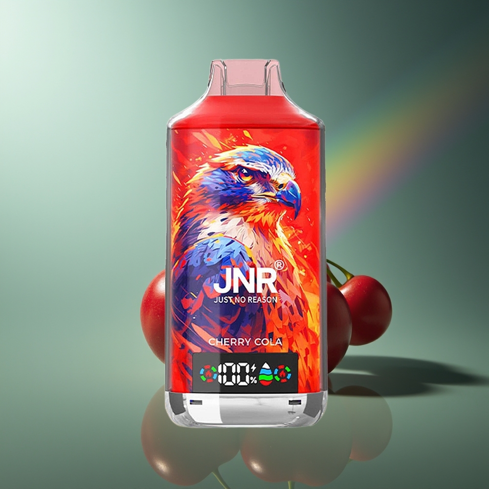 Wholesale Lithuania JNR Falcon X 18000 Puffs 750mAh Type-C Vyšnia Vienkartinės Elektroninės Cigaretės