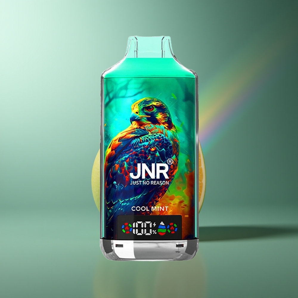 Wholesale Lithuania JNR Falcon X 18000 Puffs 750mAh Šalta Mėta Type-C Quick Charge