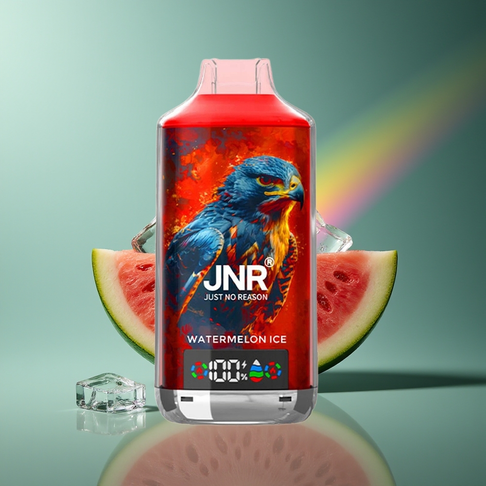 Wholesale Lithuania JNR Falcon X 18000 Puffs Arbūzas Ledas 750mAh Type-C