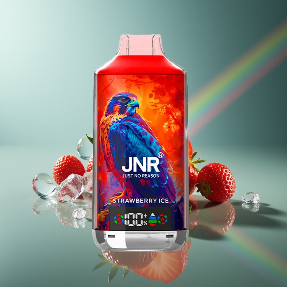 Wholesale Lithuania JNR Falcon X 18000 Puffs Braškinių Ledų Dual Mesh Coil Type-C Quick Charge