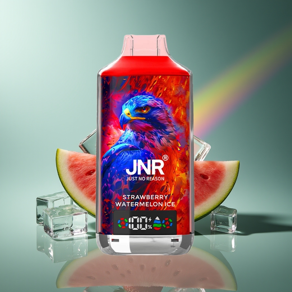 Wholesale Lithuania JNR Falcon X 18000 Puffs Dual Mesh Coil Braškės Arbūzas Ledas