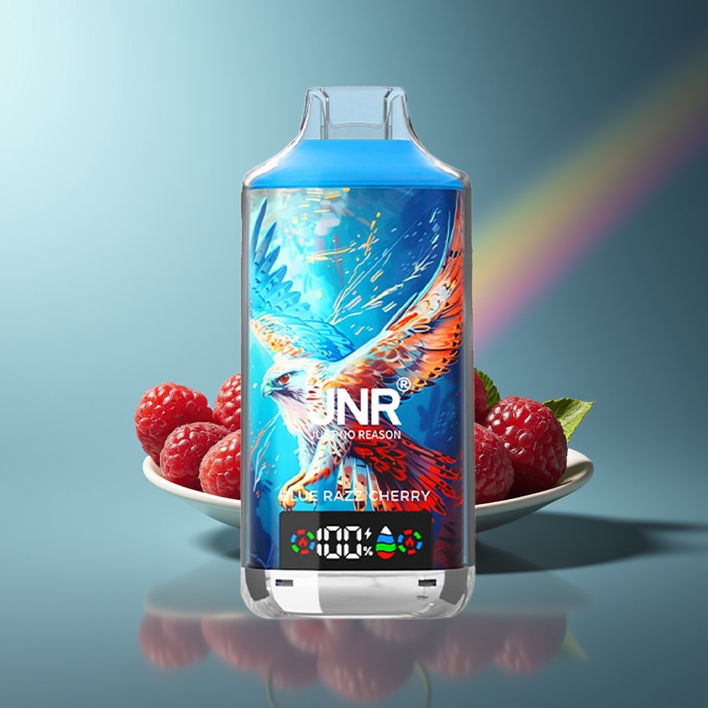 Wholesale Lithuania JNR Falcon X 18000 Puffs Dual Mesh Coil Mėlynųjų Serbentų Vyšnių