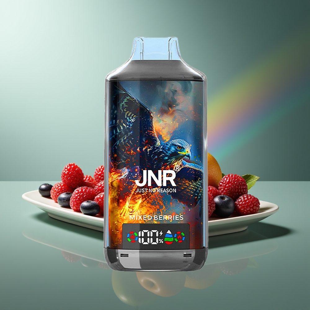 Wholesale Lithuania JNR Falcon X 18000 Puffs Dual Mesh Coil Mišrios Uogos