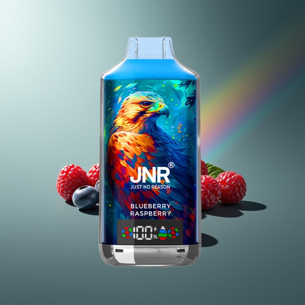 Wholesale Lithuania JNR Falcon X 18000 Puffs Mėlynųjų Gervuogių Aviečių Vienkartinės Elektroninės Cigaretės Dual Mesh Coil Type-C