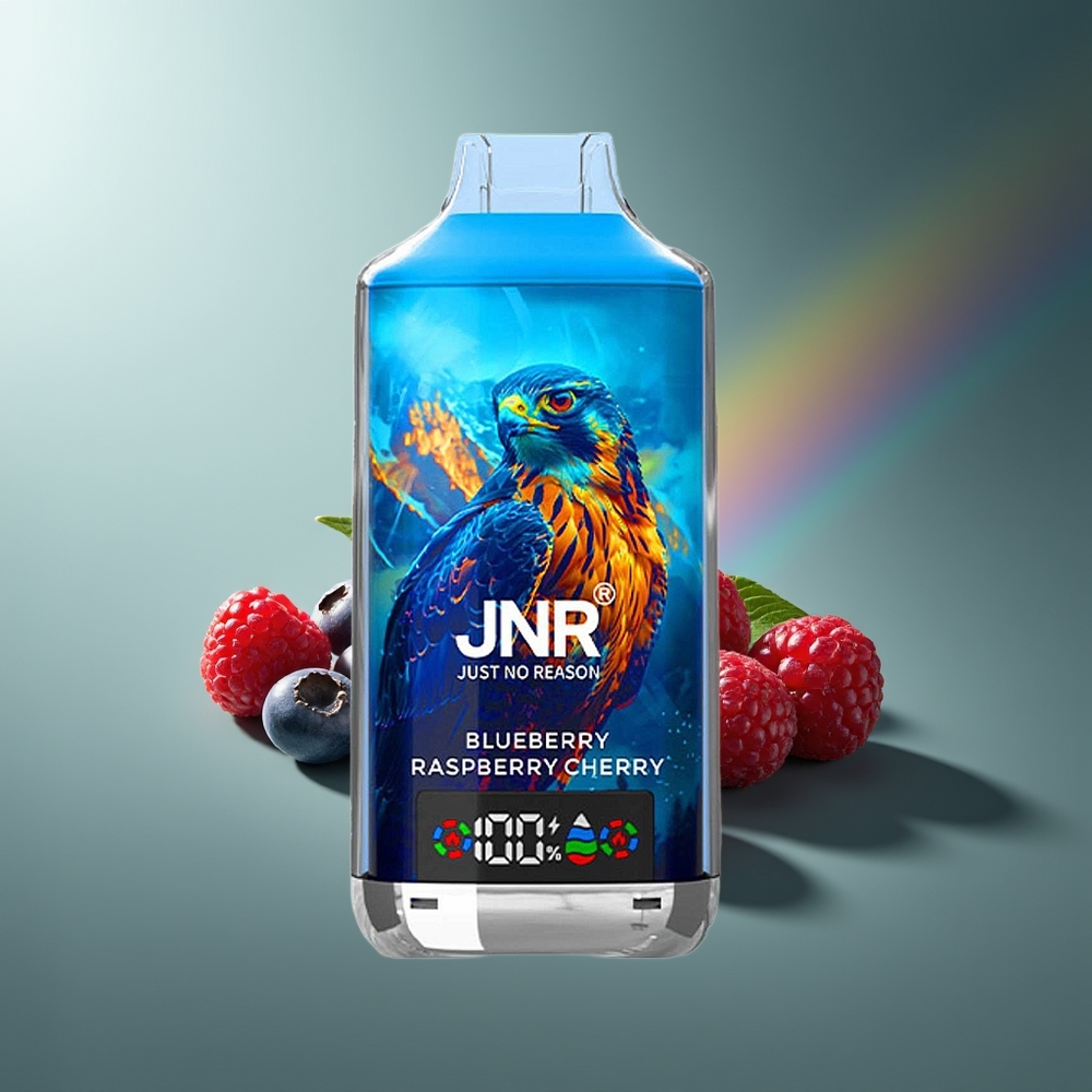 Wholesale Lithuania JNR Falcon X 18000 Puffs Mėlynės Avietės Vyšnios Dual Mesh Digital Display