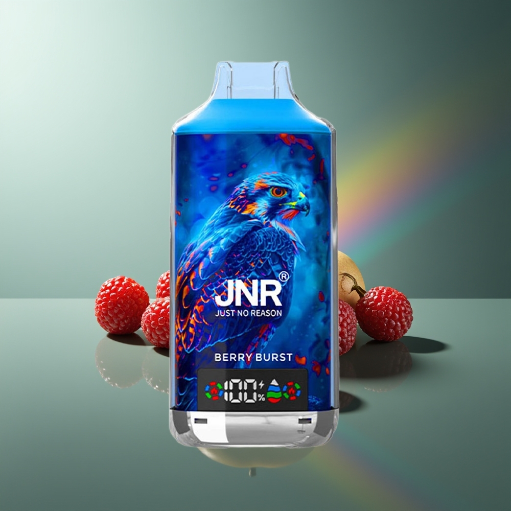 Wholesale Lithuania JNR Falcon X 18000 Puffs Uogienės Sprogimas 750mAh Type-C Quick Charge