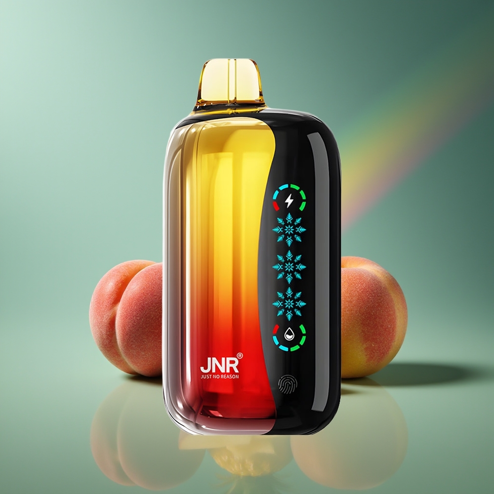 Wholesale Lithuania JNR Flex Ice 21000 Puffs Vienkartinės Elektroninės Cigaretės Persikas Mango Ananasas Ice Adjustable 26ml E-liquid