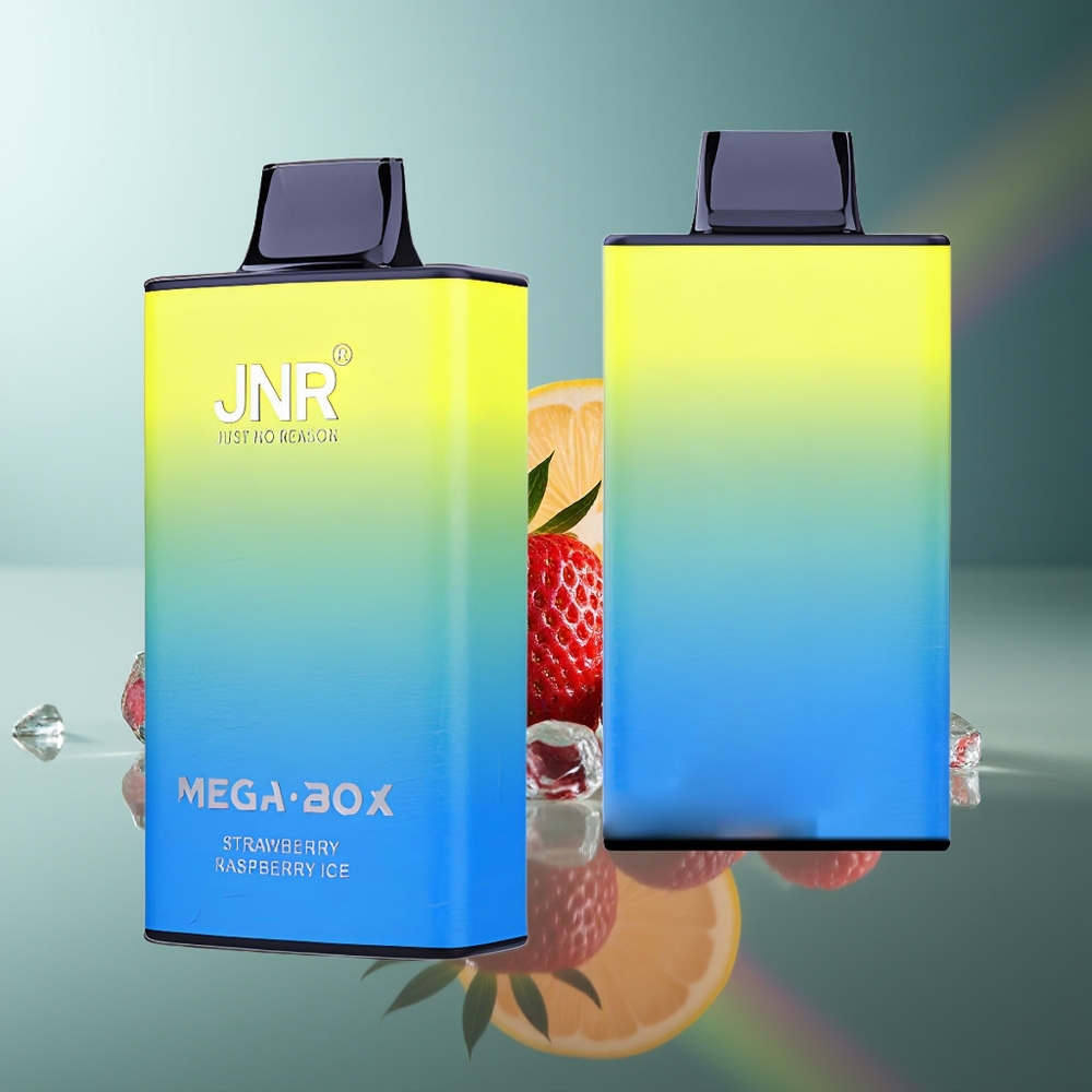 Wholesale Lithuania JNR Mega Box 25000 Puffs 30ml Braškė su aviete ledas