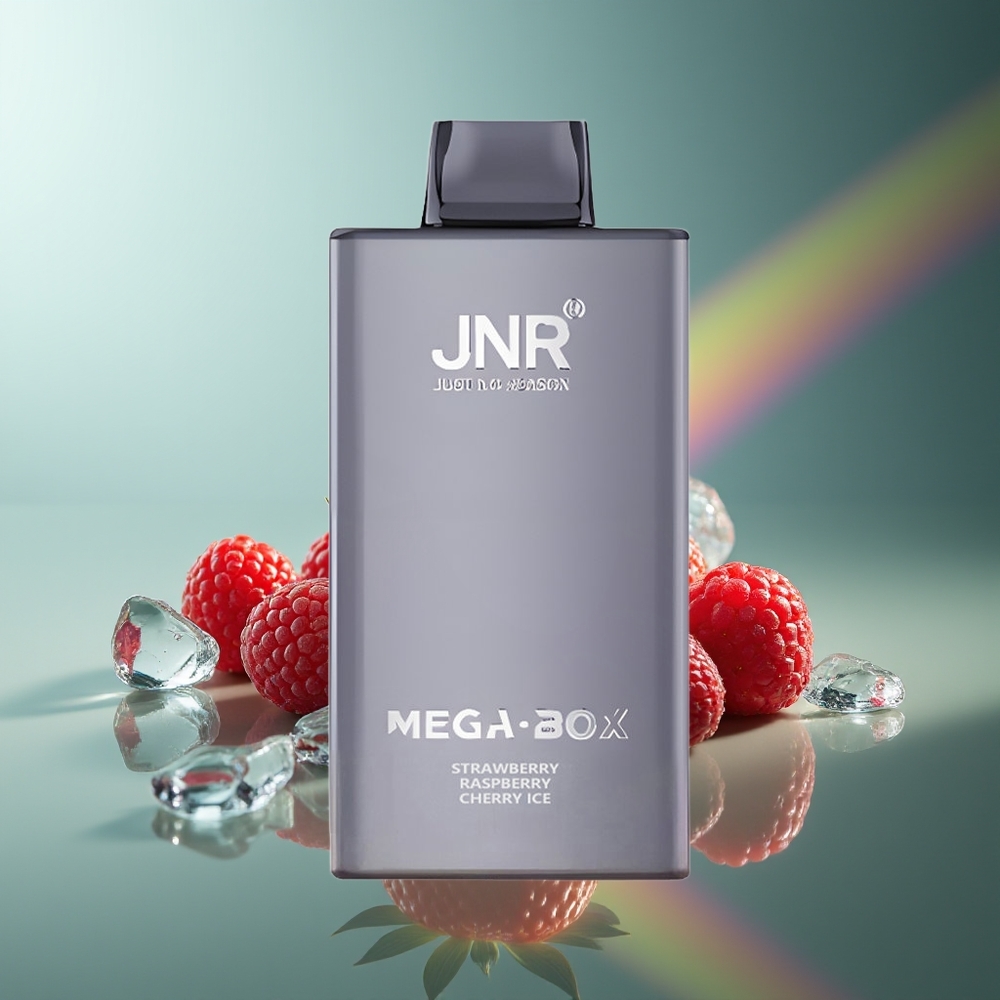 Wholesale Lithuania JNR Mega Box 25000 Puffs 30ml Braškinė Avietė Vyšnia Ledas Vienkartinės Elektroninės Cigaretės