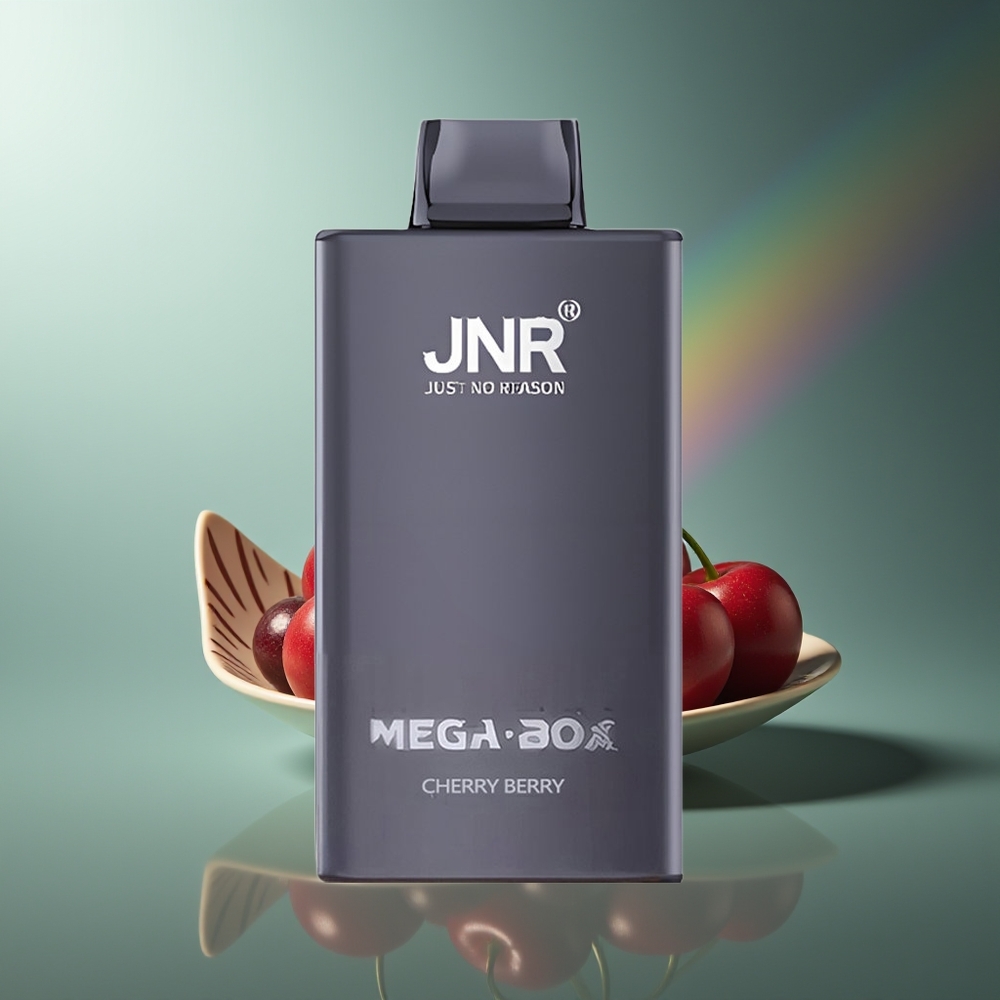 Wholesale Lithuania JNR Mega Box 25000 Puffs Dvigubas Šerdis Vyšnia Uoga Type-C Greitas Įkrovimas