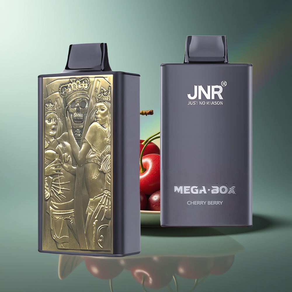 Wholesale Lithuania JNR Mega Box 25000 Puffs Dvigubas Šerdis Vyšnia Uoga Type-C Greitas Įkrovimas