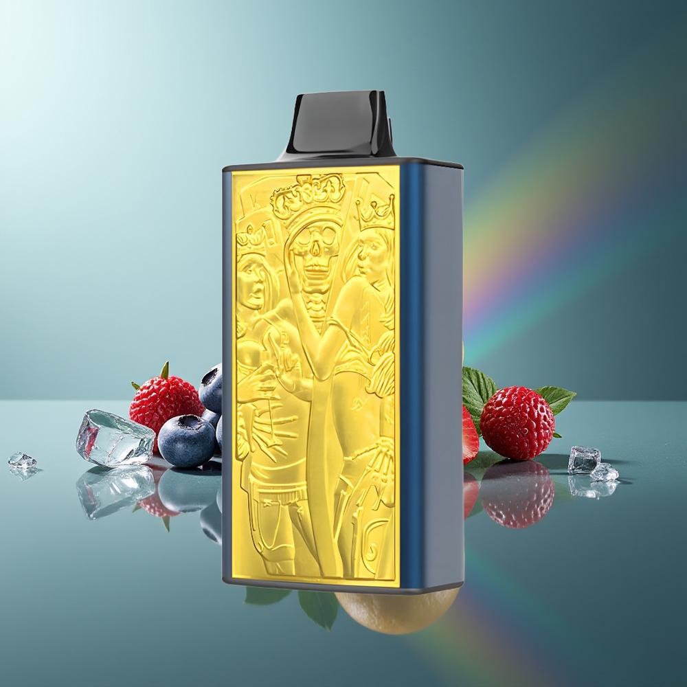 Wholesale Lithuania JNR Mega Box 25000 Puffs Mėlynų Uogų Ledas 30ml Dual Mesh