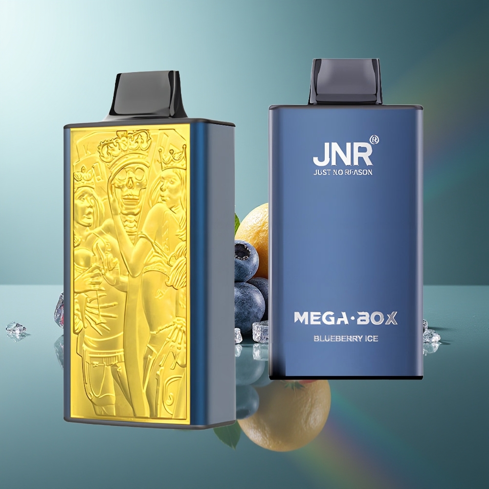 Wholesale Lithuania JNR Mega Box 25000 Puffs Mėlynų Uogų Ledas 30ml Dual Mesh
