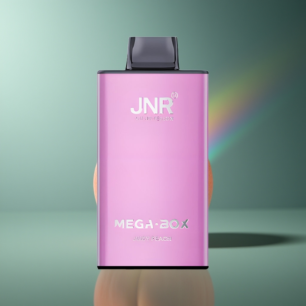 Wholesale Lithuania JNR Mega Box 25000 Puffs Skanus Persikas 30ml E-liquid Capacity Type-C Quick Charge