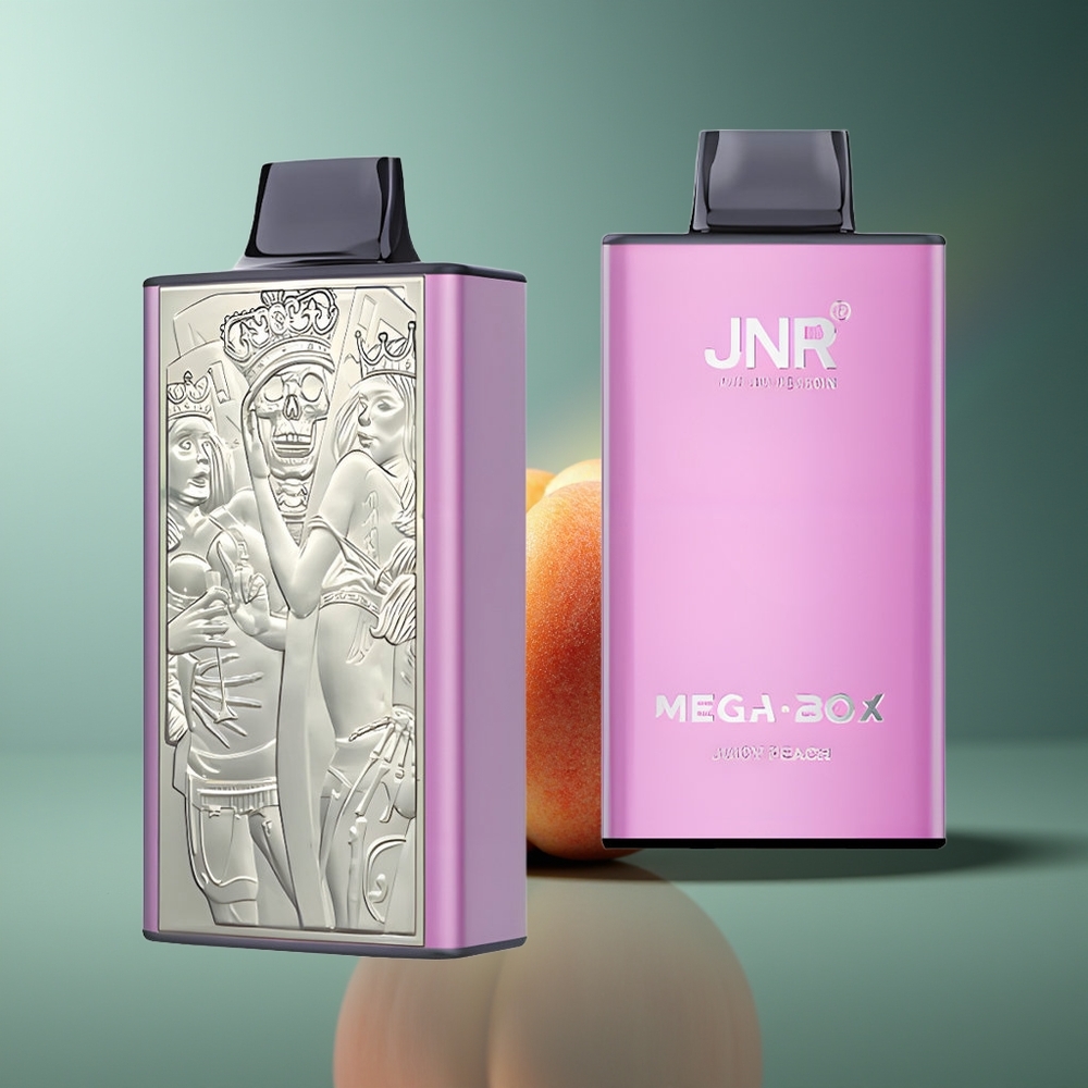 Wholesale Lithuania JNR Mega Box 25000 Puffs Skanus Persikas 30ml E-liquid Capacity Type-C Quick Charge