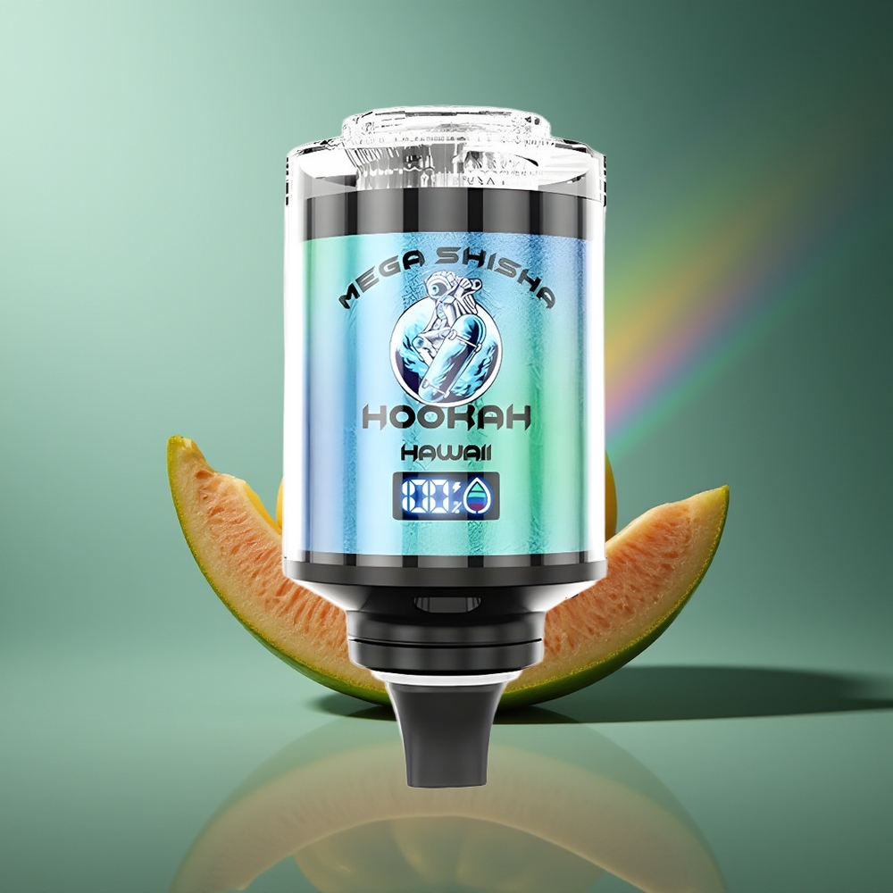 Wholesale Lithuania JNR Mega Shisha Hookah 100K Vaisių Derinys Hawaii Type-C greitas įkrovimas Interactive Smart Screen