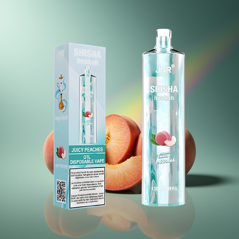 Wholesale Lithuania JNR Shisha Hookah 12000 Puffs 750mAh Sultano Persikai