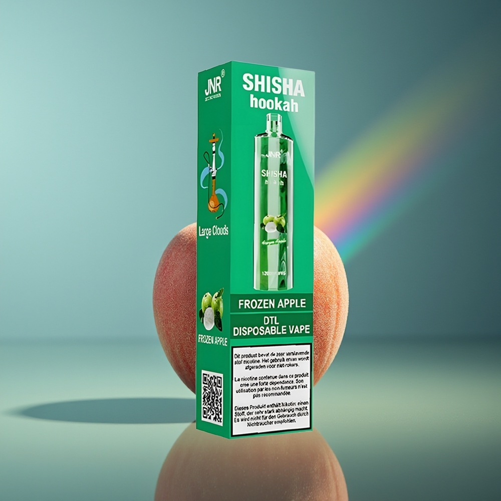 Wholesale Lithuania JNR Shisha Hookah 12000 Puffs 750mAh Užšalusios Obuolio