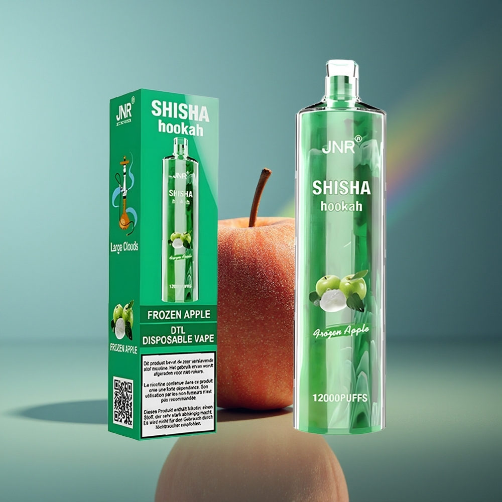 Wholesale Lithuania JNR Shisha Hookah 12000 Puffs 750mAh Užšalusios Obuolio