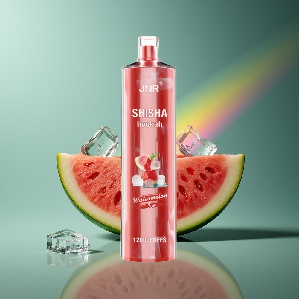 Wholesale Lithuania JNR Shisha Hookah 12000 Puffs Arbūzas Ledas Vienkartinės Elektroninės Cigaretės 750mAh Type-C