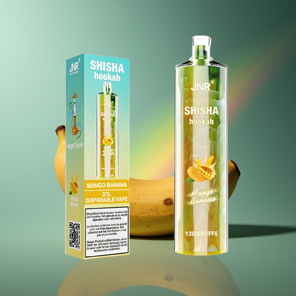 Wholesale Lithuania JNR Shisha Hookah 12000 Puffs Mango Bananas Vienkartinės Elektroninės Cigaretės 750mAh Type-C