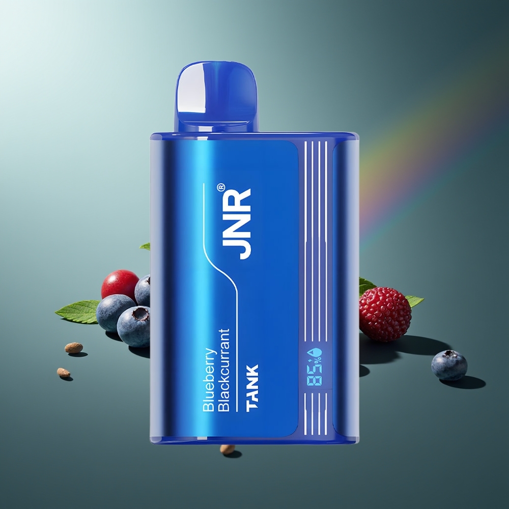 Wholesale Lithuania JNR Tank 10000 Puffs Vienkartinės Elektroninės Cigaretės Mėlynės Juodojo Serbento 20ml Dual Mesh