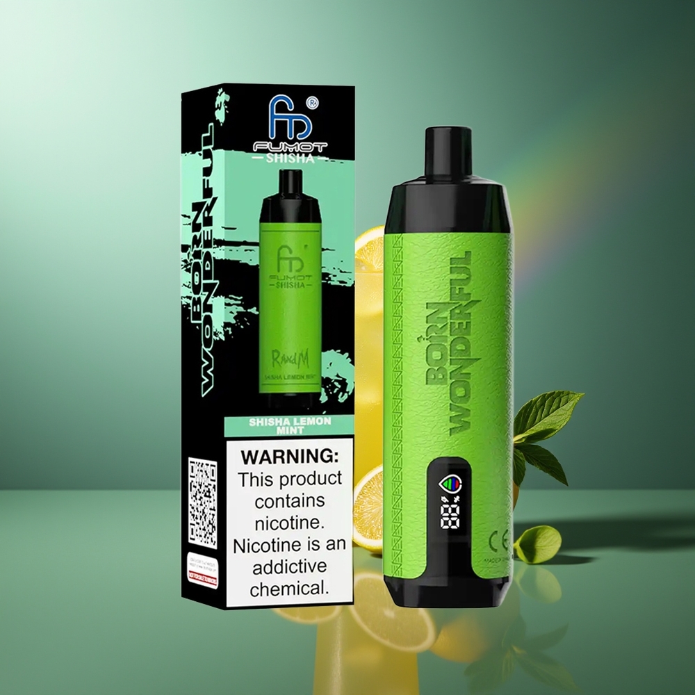 Wholesale Lithuania RandM Fumot Shisha 10000 Puffs Citrina Mėta Vienkartinės Elektroninės Cigaretės 18ml 0.5% Nicotine