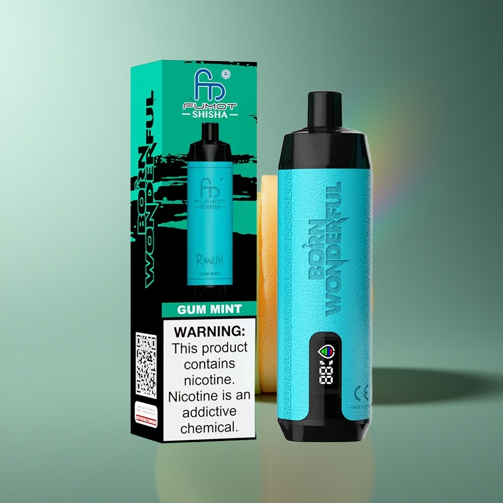 Wholesale Lithuania RandM Fumot Shisha 10000 Puffs Dantų Gumo Mėta 18ml 0.5% Nikotino