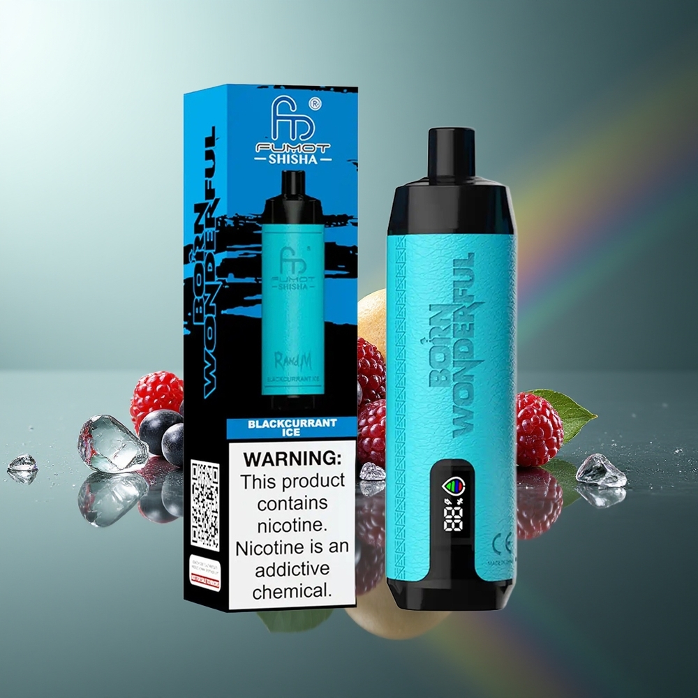 Wholesale Lithuania RandM Fumot Shisha 10000 Puffs Juodųjų Serbentų Ledas Vienkartinės Elektroninės Cigaretės 18ml Type-C