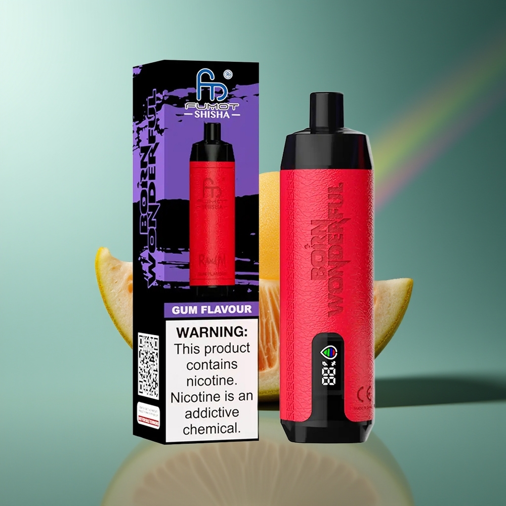 Wholesale Lithuania RandM Fumot Shisha 10000 Puffs LED Indicator 0.6ohm Mesh Coil Chewing Gum Skonis Vienkartinės Elektroninės Cigaretės