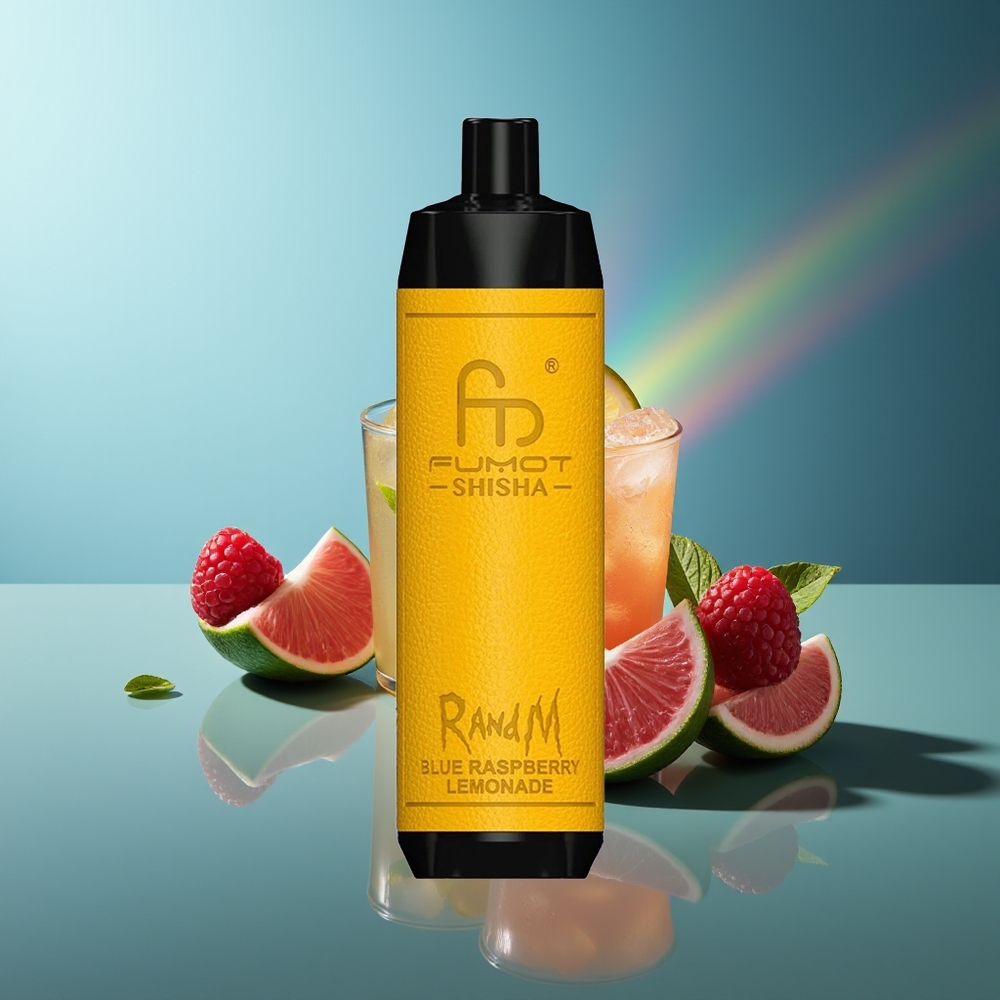 Wholesale Lithuania RandM Fumot Shisha 10000 Puffs Mėlynų Aviečių Citrinų Limonadas su 18ml ir Type-C Port