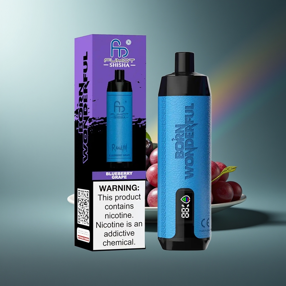 Wholesale Lithuania RandM Fumot Shisha 10000 Puffs Mėlynų Uogų ir Vynuogių Vienkartinės Elektroninės Cigaretės su 18ml Prefilled e-liquid ir 850 mAh Battery