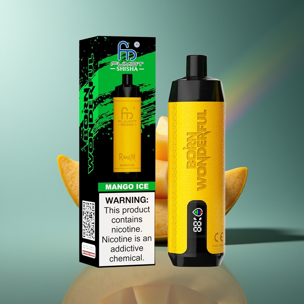 Wholesale Lithuania RandM Fumot Shisha 10000 Puffs Mango Ledas Type-C