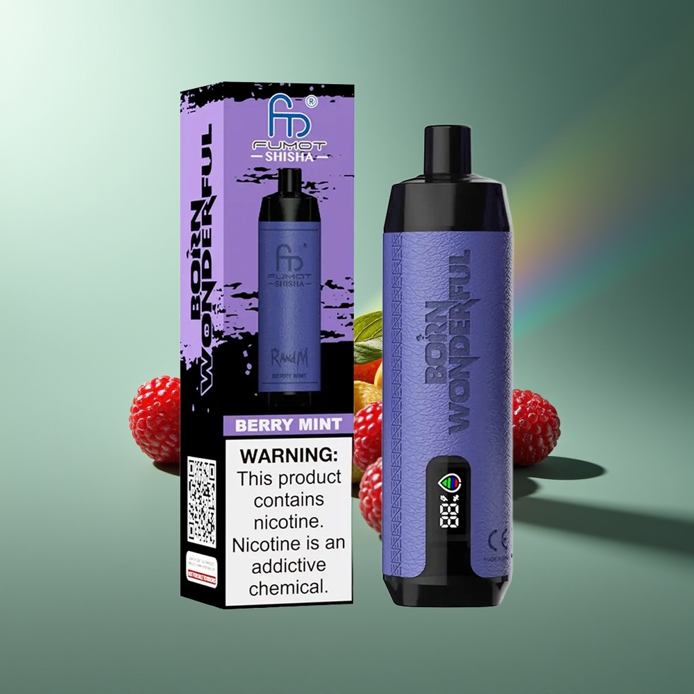 Wholesale Lithuania RandM Fumot Shisha 10000 Puffs Uogų Mėta 18ml Type-C